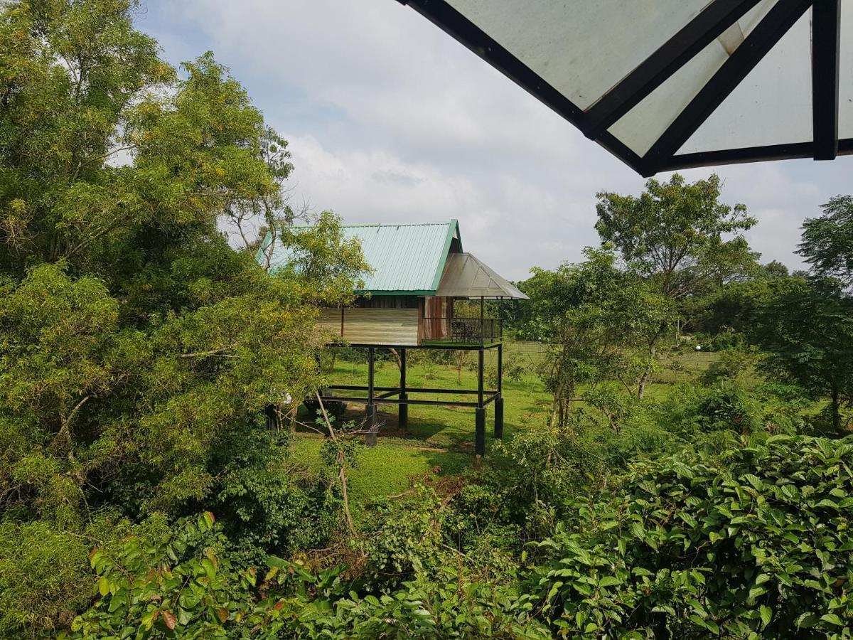Nice Place Resort ดัมบูลลา ภายนอก รูปภาพ