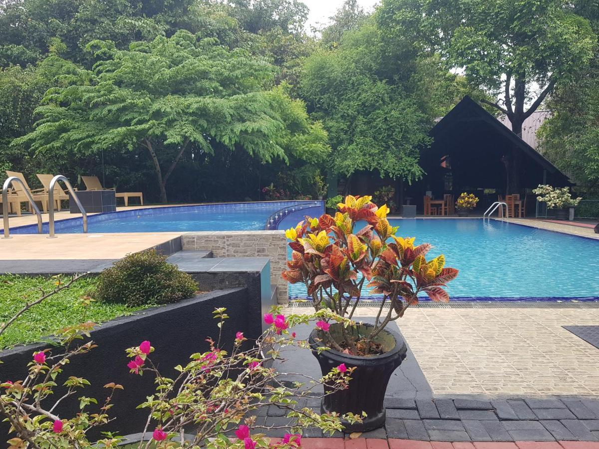 Nice Place Resort ดัมบูลลา ภายนอก รูปภาพ